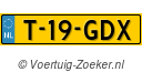 T19GDX