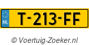T213FF