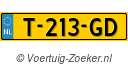 T213GD