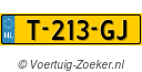 T213GJ