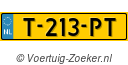 T213PT