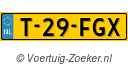 T29FGX
