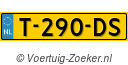 T290DS