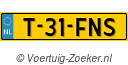 T-31-FNS