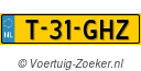 T31GHZ