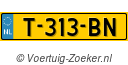 T313BN
