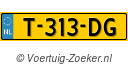 T313DG
