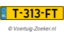 T313FT