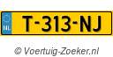 T313NJ