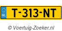 T313NT