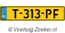 T313PF