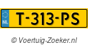 T313PS