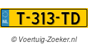 T313TD