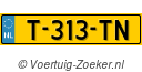 T313TN