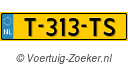 T-313-TS