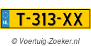 T313XX