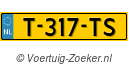 T-317-TS