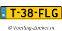 T38FLG