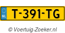 T391TG