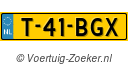 T41BGX