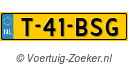T41BSG