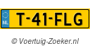 T41FLG