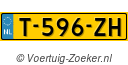 T596ZH
