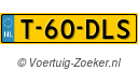 T-60-DLS
