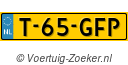 T65GFP