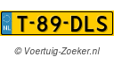 T89DLS