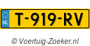T919RV