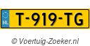 T919TG