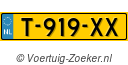 T919XX