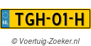 TGH01H