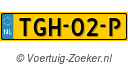 TGH-02-P