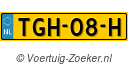 TGH-08-H