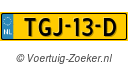 TGJ13D