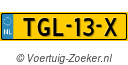 TGL-13-X