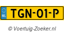 TGN-01-P