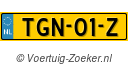 TGN01Z