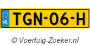 TGN06H
