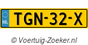 TGN-32-X