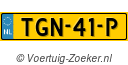 TGN41P