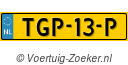 TGP13P