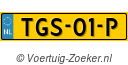 TGS-01-P