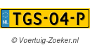 TGS04P
