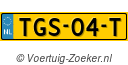 TGS-04-T