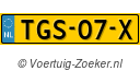 TGS07X