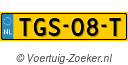 TGS-08-T