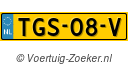 TGS-08-V